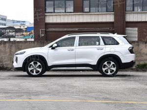 拖欠車船稅有什么后果