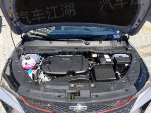 江淮生銹門事件