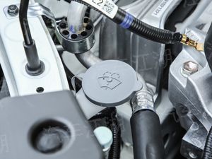哪幾款車比較省油
