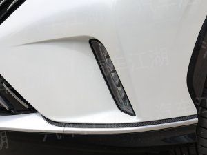 國產蝴蝶們電動汽車