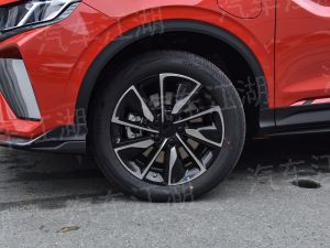 機動車在以下哪些地點不能停