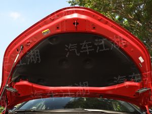 野生藏羚羊角多少一克